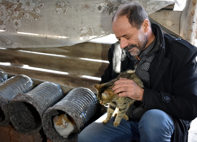 Eski damacana ve battaniyeler kedilere yuva oldu