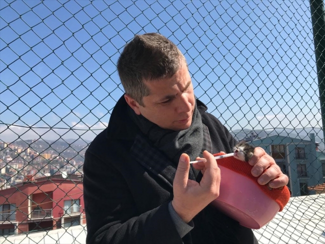 Yavru kediyi kalp masajı ve suni teneffüsle hayata bağladı