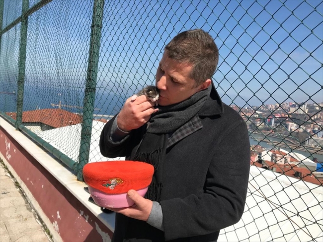 Yavru kediyi kalp masajı ve suni teneffüsle hayata bağladı