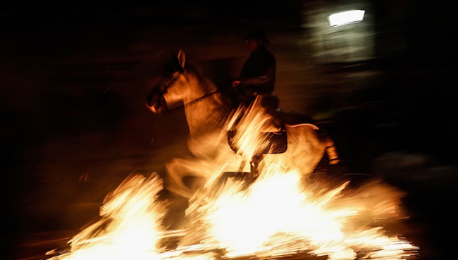 Beş asırlık İspanyol geleneği: Atlar ve ateş
