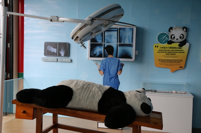 Çin'in diplomat pandalarına 'sarayda' bakılıyor