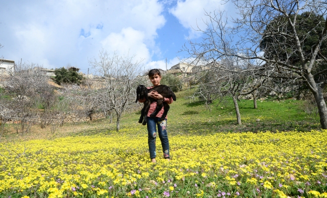 Afrin'de terörden arındırılan köylerde geri dönüş sevinci