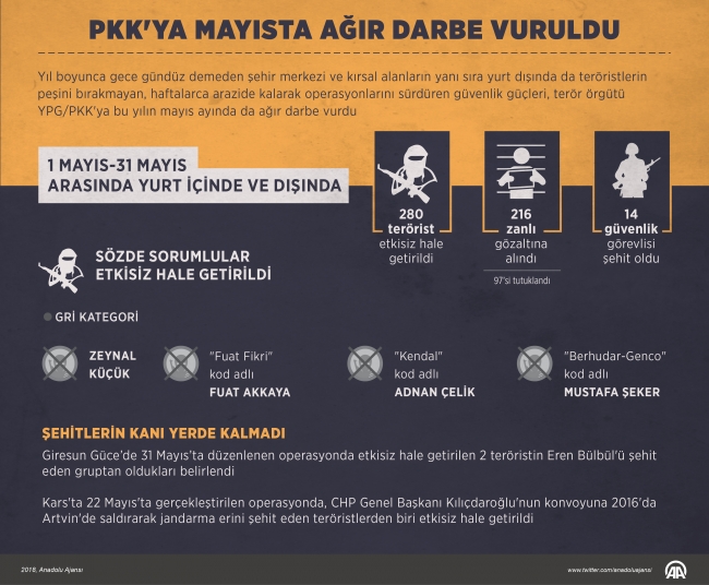 YPG/PKK'ya Mayıs'ta ağır darbe vuruldu