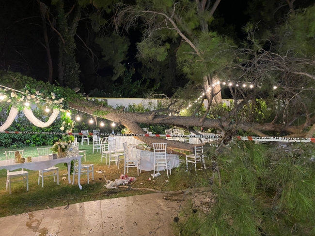 Antalya'da düğüne katılanların üzerine ağaç devrildi: 1 ölü, 9 yaralı
