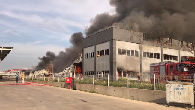 Sakarya'da mobilya fabrikasında yangın
