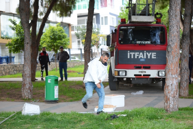 Antalya'da 'arı' operasyonu