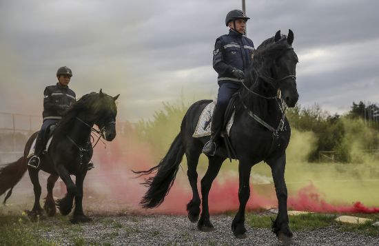 Jandarmanın atları 'özel' görevlere hazırlanıyor