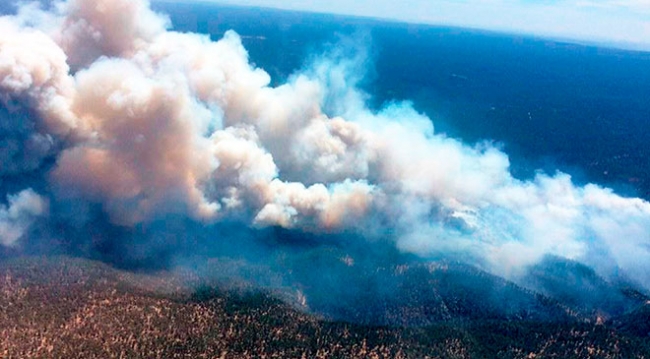 Arizona'da orman yangını: Bölgede olağanüstü hal ilan edildi