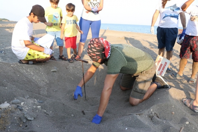 Mersin'de yavru caretta carettalar denizle buluşuyor