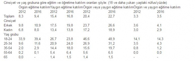 İşte Türkiye'nin yetişkin eğitimi istatistikleri...