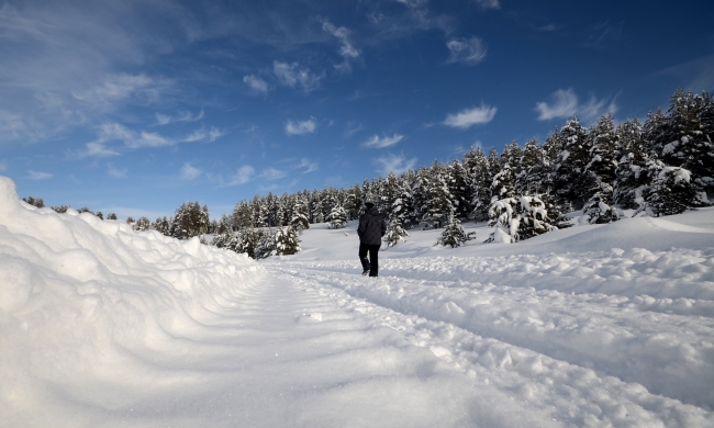 Türkiye'de etkili olan kar ve tipi bazı yolları kapattı