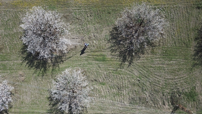Malatya beyaza büründü