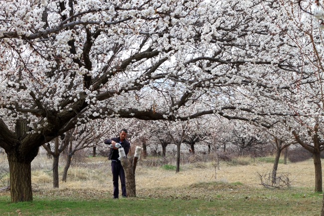 Malatya beyaza büründü