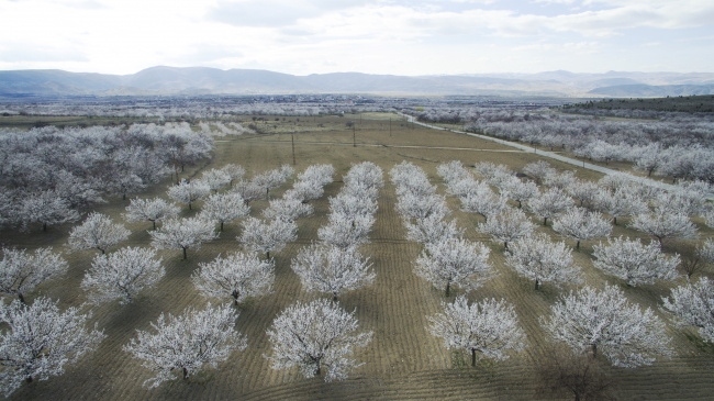 Malatya beyaza büründü