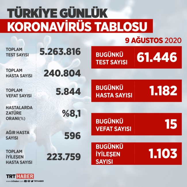 Türkiye'de iyileşenlerin sayısı 223 bin 759'a yükseldi