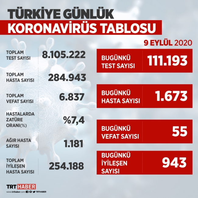 Türkiye'de virüsü yenenlerin sayısı 254 bini geçti