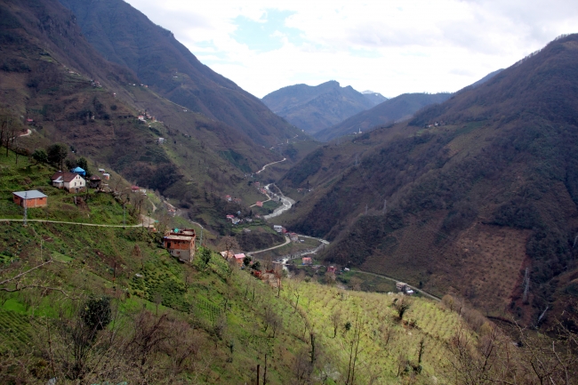 Kuş dilinin alfabesi oluşturulacak