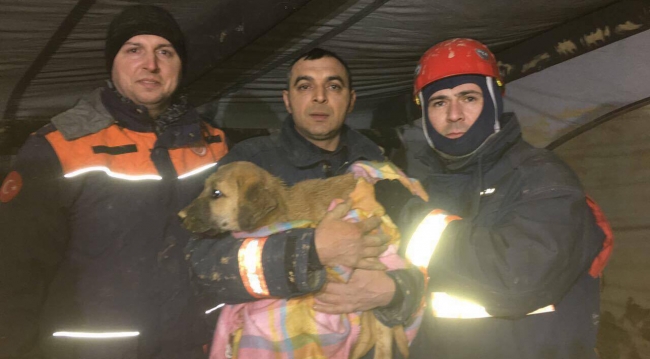 Kuyuya düşen yavru köpek kurtarıldı
