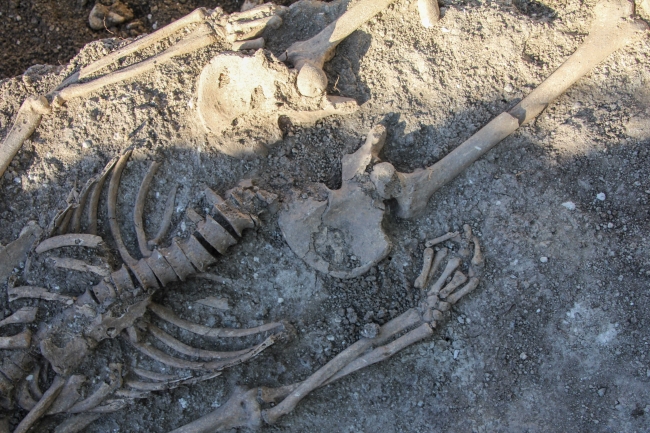 TANAP boru hattı kazılarında Roma mezarları bulundu
