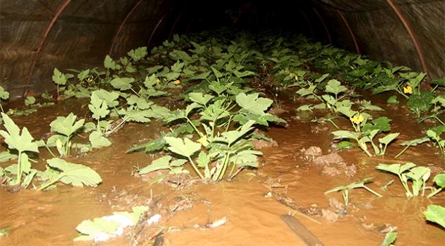 Muğla'da şiddetli yağış tarım arazilerini ve seraları vurdu