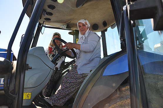 Muşlu kadınlar devlet desteğiyle çiftlik kurdu