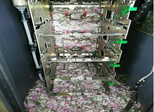 Hindistan'da ATM'ye giren fareler paraları yedi