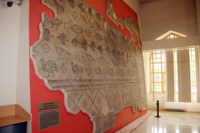 Ahırda Roma dönemine ait tarihi taban mozaiği bulundu