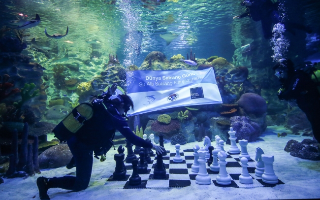 Dünya Satranç Günü'nde su altında gösteri maçı