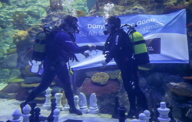 Dünya Satranç Günü'nde su altında gösteri maçı