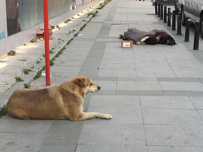 Sokak ortasında köpeğe sarılarak uyudu