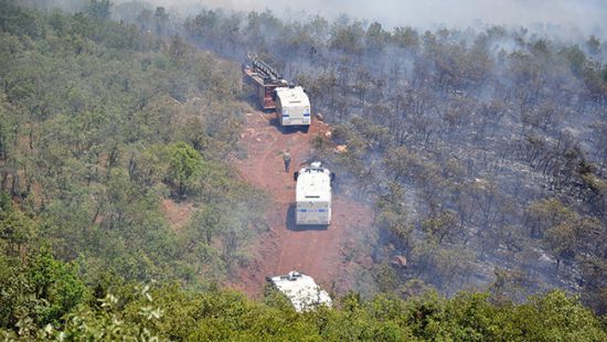 Orman yangınına TOMA'lar müdahale etti