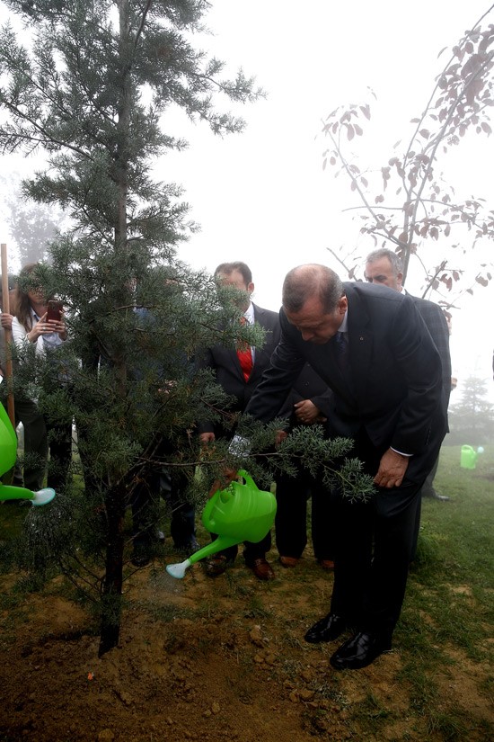 Cumhurbaşkanı Erdoğan'dan daha yeşil bir Türkiye için 23 milyon mektup