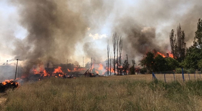 Köyde çıkan yangın 10'dan fazla eve sıçradı