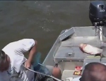 Balık Tekneye Adam Suya Atladı !