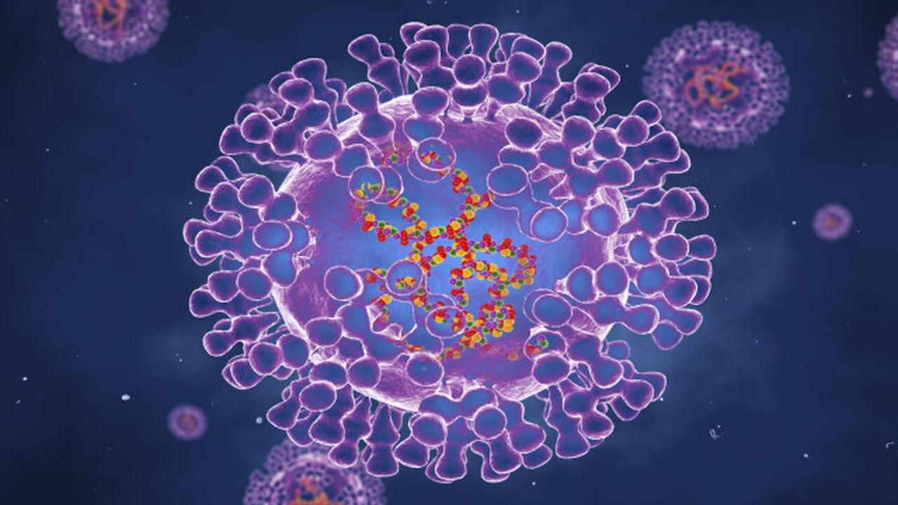 Dünyanın yeni korkusu: Maymun çiçeği virüsü 11 ülkeye yayıldı