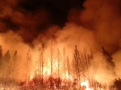 Amerika'da orman yangını