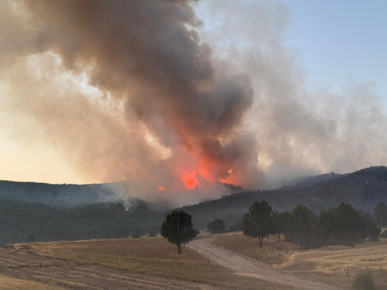 Yangın risk haritası kırmızıya döndü: Yurt genelinde yangın riski çok yüksek seviyede