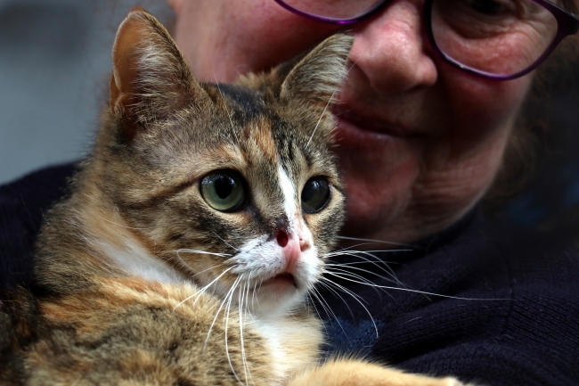 Kadınlar sokak hayvanlarına önce gönüllerini sonra evlerini açtılar