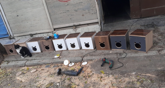 Sigara parasıyla sokak hayvanlarını besliyor