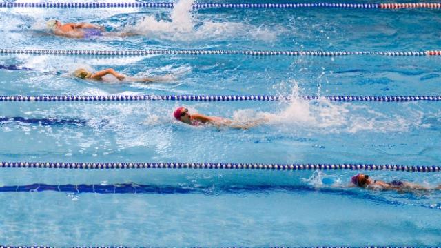 Yüzmede 'Ulusal Gelişim Ödülü'nün sahibi Türkiye