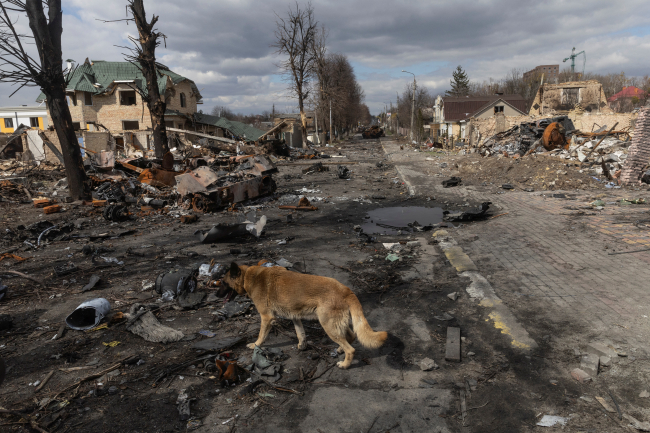 Ukrayna: Buça'daki dehşet buzdağının görünen kısmı, Mariupol'de durum daha kötü