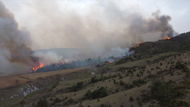 Bilecik'te orman yangını: Müdahale sürüyor