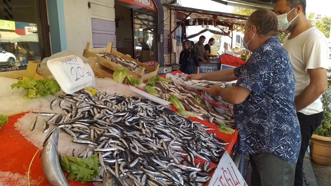 Balıkçılar Karadeniz hamsisinden umutlu