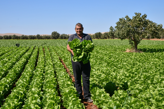 Modern sulama sistemleriyle yaklaşık 87 bin olimpik havuzluk su tasarrufu sağladılar