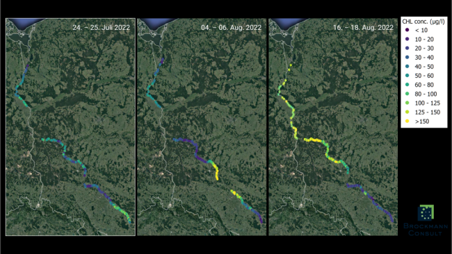 Fotoğraf: Leibniz Institute of Freshwater Ecology and Inland Fisheries (IGB)