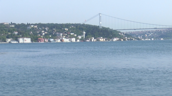 Sarıyer'de binlerce balık kıyıya geldi