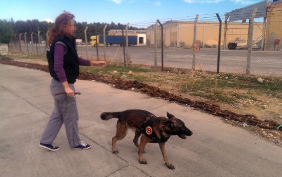 PKK'nın rant kapısına ağır darbe!