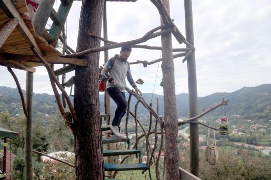 Çam gövdesine 18 metrekarelik ağaç ev yaptı