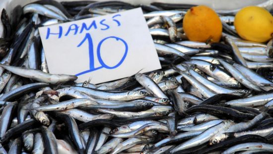 Hamsinin fiyatı 10 liraya düştü