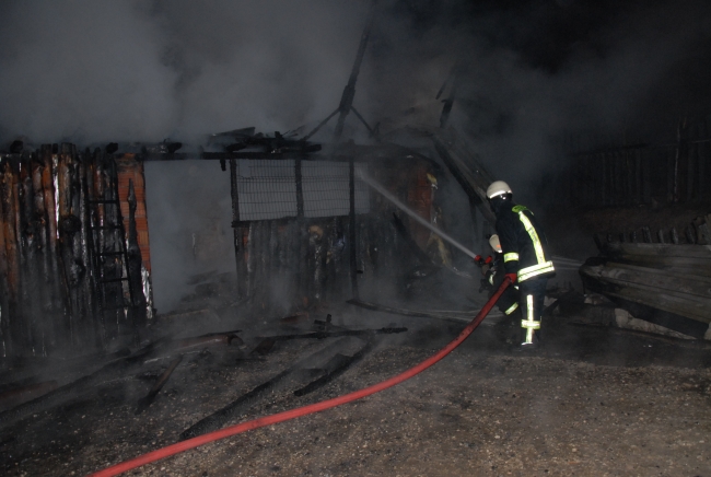 Kocaeli'de alabalık çiftliği cayır cayır yandı